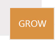 History-China Bester Group Telecom Co., LTD.