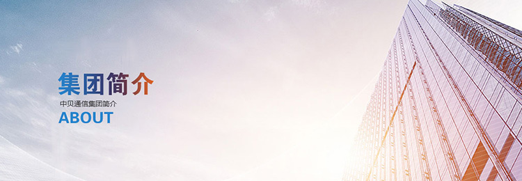 Group Profile-China Bester Group Telecom Co., LTD.