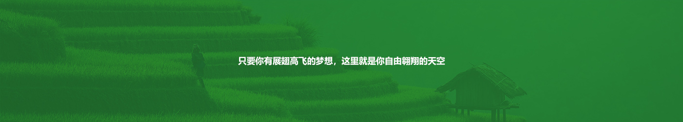NG28-不凡成就非凡,相信品牌的力量