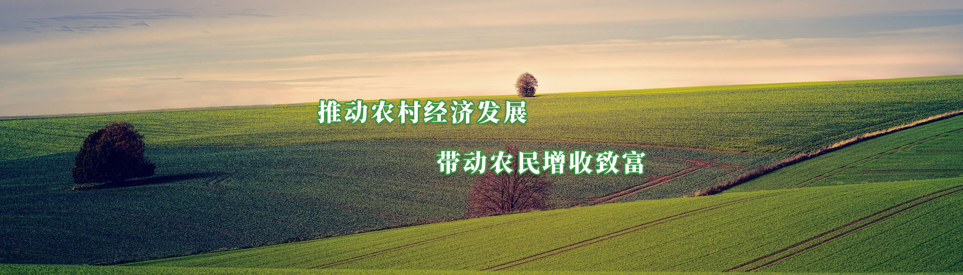 NG28-不凡成就非凡,相信品牌的力量