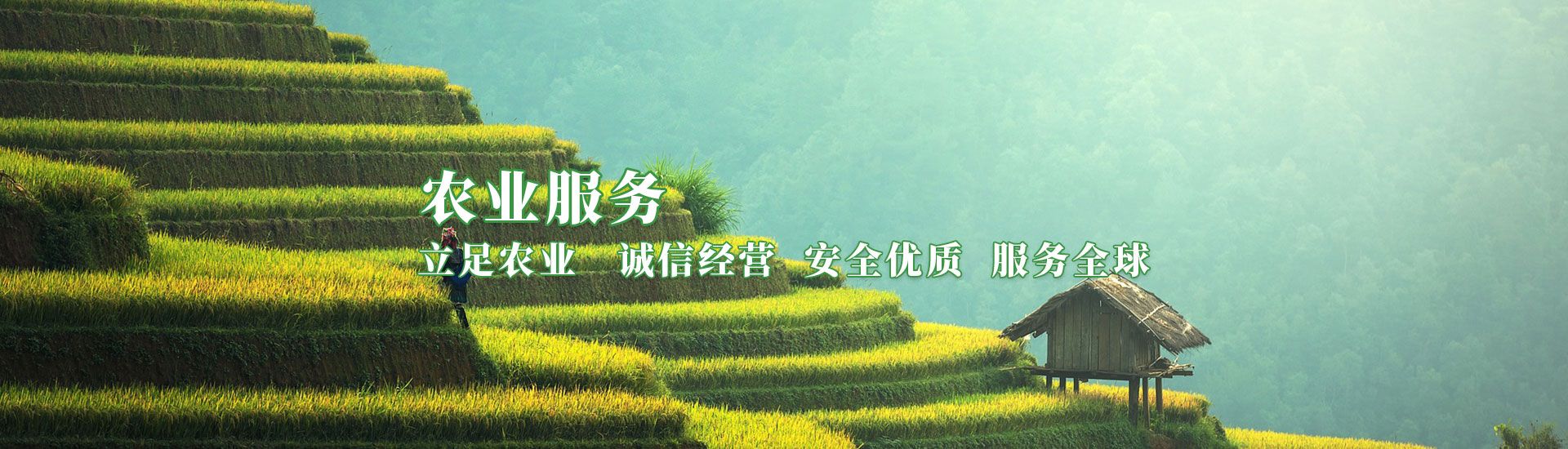 NG28-不凡成就非凡,相信品牌的力量