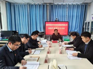 NG28-不凡成就非凡,相信品牌的力量 召开2020年度辅导班子民主生涯会