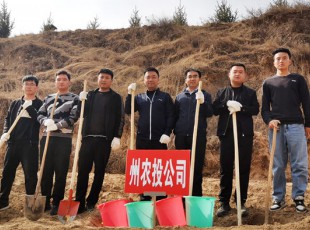 NG28-不凡成就非凡,相信品牌的力量参与2021年春季使命植树活动
