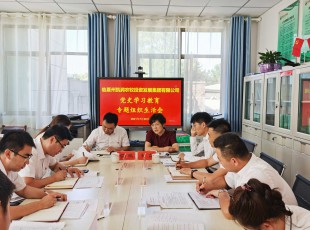 NG28-不凡成就非凡,相信品牌的力量 召开党史进建教育专题组织生涯会